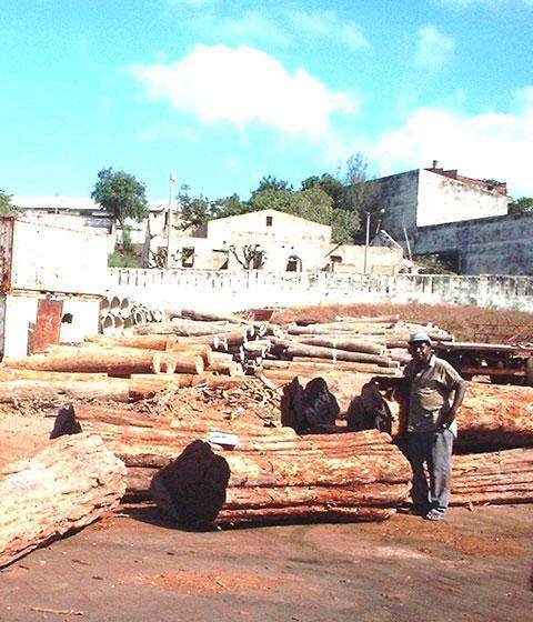 07. A Grade logs at harbour prior to loading