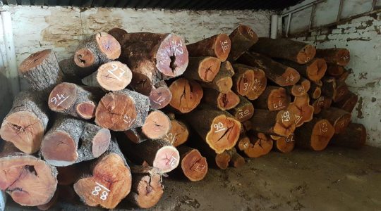 161119 15 m3 stored wood storage