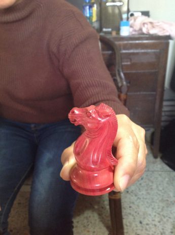 The knight The knight