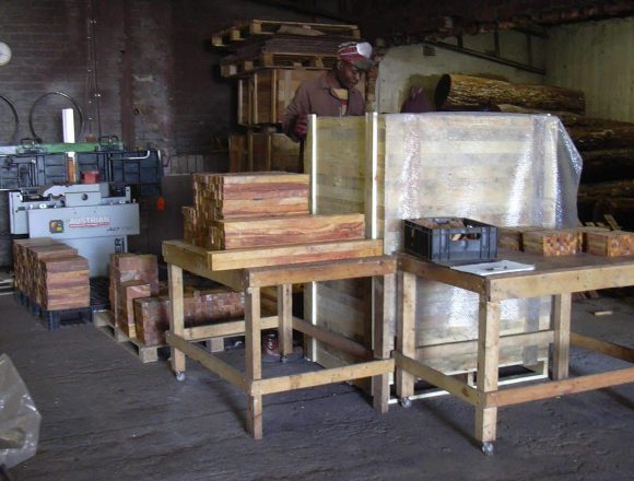 Wild Olive Spindles Wild Olive Spindles