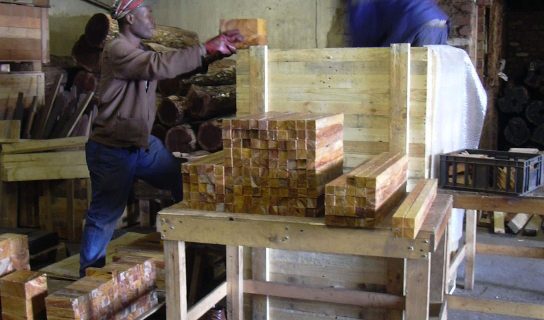 Wild olive spindles (2)