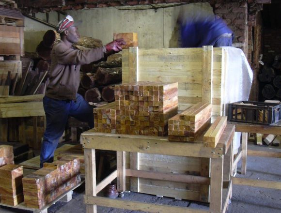 Wild olive spindles (2) Wild olive spindles (2)