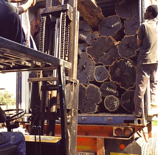 Factory-process-Unloading-of-Afican-blackwood Fabrikverfahren Afrikanisches Schwarzholz