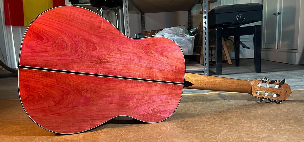 A beautiful acoustic guitar with red ivory back and sides